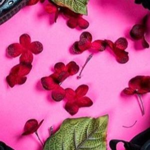 Meet your Posher, Cole